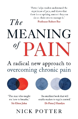 The Meaning of Pain - Nick Potter