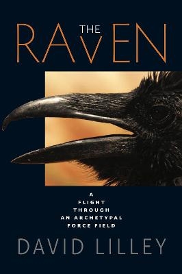 The Raven - David Lilley
