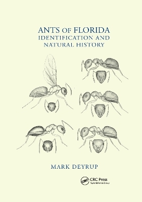 Ants of Florida - Mark Deyrup