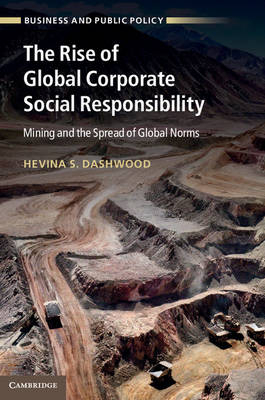 Rise of Global Corporate Social Responsibility -  Hevina S. Dashwood