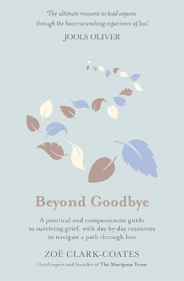 Beyond Goodbye - Zoë Clark-Coates