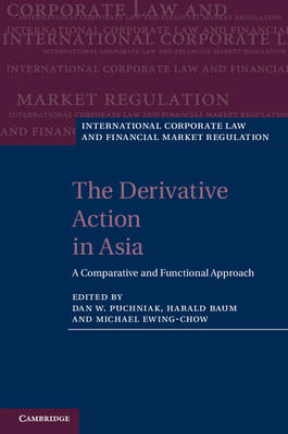 The Derivative Action in Asia - 