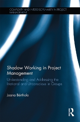 Shadow Working in Project Management - Joana Bértholo