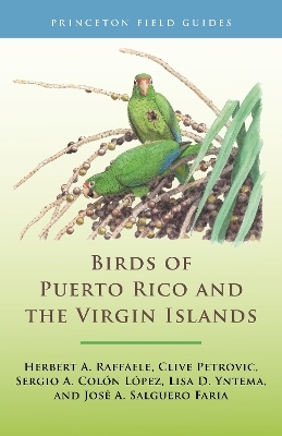 Birds of Puerto Rico and the Virgin Islands - Herbert A. Raffaele, Clive Petrovic, Sergio A. Colón López, Lisa D. Yntema, José A. Salguero Faria