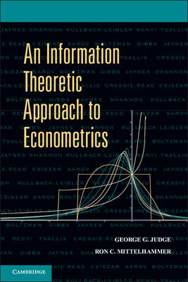 Information Theoretic Approach to Econometrics -  George G. Judge,  Ron C. Mittelhammer