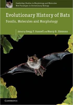 Evolutionary History of Bats - 