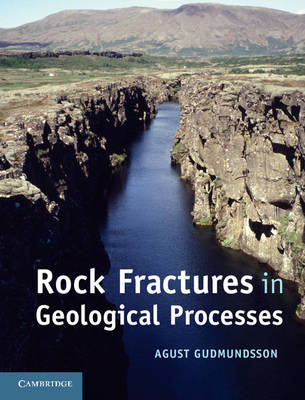 Rock Fractures in Geological Processes - University of London) Gudmundsson Agust (Royal Holloway