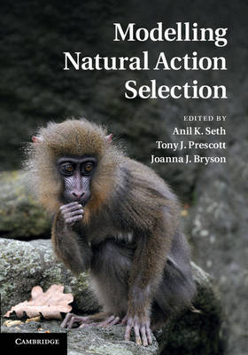 Modelling Natural Action Selection - 