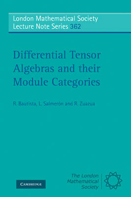 Differential Tensor Algebras and their Module Categories -  R. Bautista,  L. Salmeron,  R. Zuazua