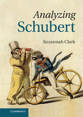 Analyzing Schubert -  Suzannah Clark