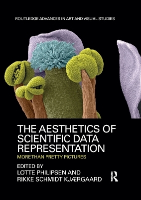 The Aesthetics of Scientific Data Representation - 