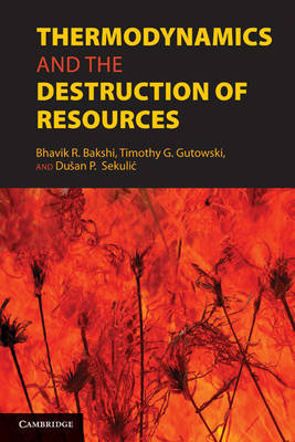 Thermodynamics and the Destruction of Resources - 