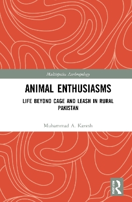 Animal Enthusiasms - Muhammad A. Kavesh