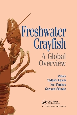 Freshwater Crayfish - 