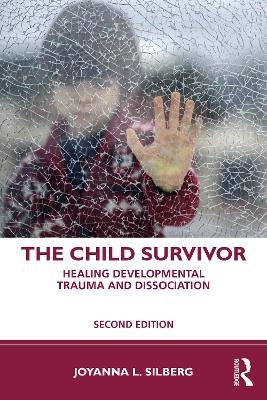 The Child Survivor - Joyanna L. Silberg