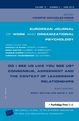 Do I See Us Like You See Us? Consensus, Agreement, and the Context of Leadership Relationships - 