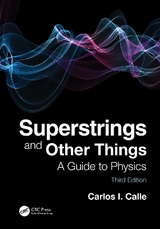 Superstrings and Other Things - Calle, Carlos I.