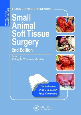 Small Animal Soft Tissue Surgery - 