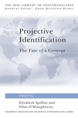 Projective Identification - 