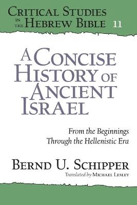 A Concise History of Ancient Israel - Bernd U. Schipper