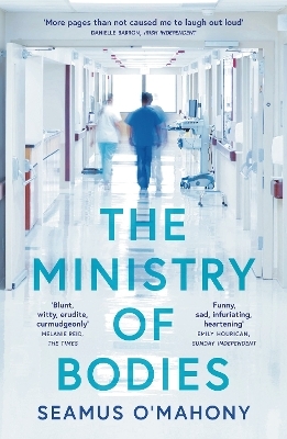 The Ministry of Bodies - Seamus O'Mahony