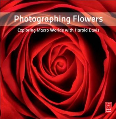 Photographing Flowers -  Harold Davis