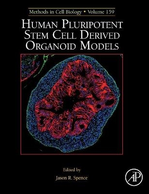 Human Pluripotent Stem Cell Derived Organoid Models - 