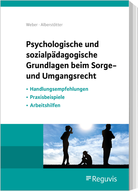 Psychologische und sozialpädagogische Grundlagen beim Sorge- und Umgangsrecht - Matthias Weber, Uli Alberstötter