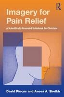 Imagery for Pain Relief - California David (Chapman University  USA) Pincus, Wisconsin Anees A. (Marquette University  USA) Sheikh