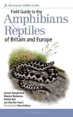 Field Guide to the Amphibians and Reptiles of Britain and Europe - Jeroen Speybroeck, Wouter Beukema, Bobby Bok, Jan van der Voort