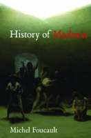 History of Madness -  Michel Foucault