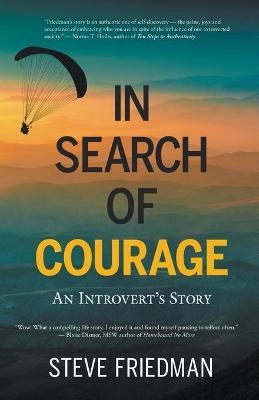 In Search of Courage - Steve Friedman