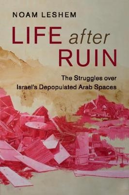 Life after Ruin - Noam Leshem