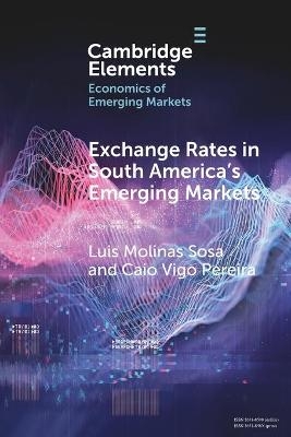 Exchange Rates in South America's Emerging Markets - Luis Molinas Sosa, Caio Vigo Pereira