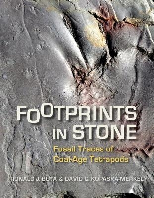 Footprints in Stone - Ronald J. Buta, David C. Kopaska-Merkel