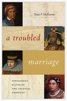 A Troubled Marriage - Sean F. McEnroe