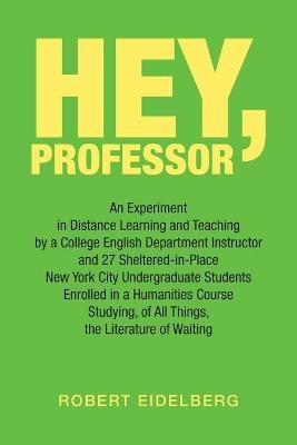 Hey, Professor - Robert Eidelberg