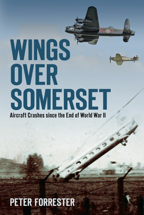 Wings Over Somerset -  Peter Forrester