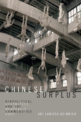 Chinese Surplus - Ari Larissa Heinrich