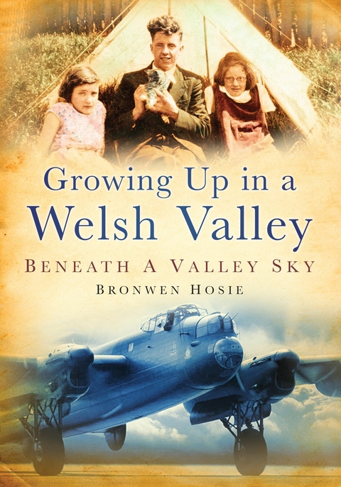 Growing Up in a Welsh Valley: Beneath a Valley Sky - Bronwen Hosie