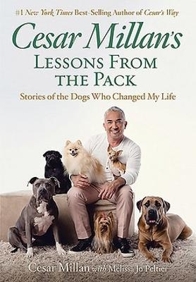 Cesar Millan's Lessons From The Pack - Cesar Millan