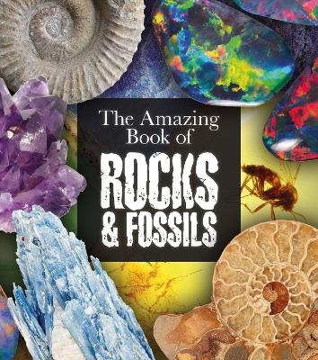 The Amazing Book of Rocks and Fossils - Claudia Martin