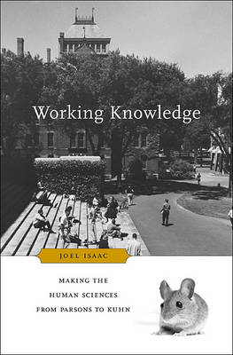 Working Knowledge -  Joel Isaac