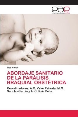 Abordaje Sanitario de la Parálisis Braquial Obstétrica - Elsa Mallor