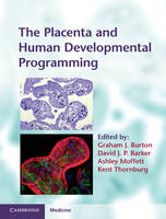 Placenta and Human Developmental Programming - 