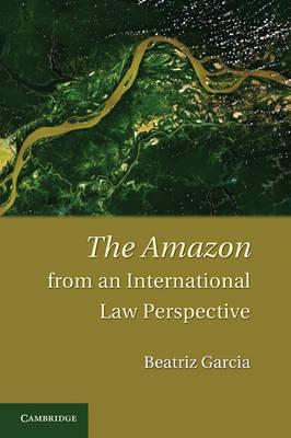 Amazon from an International Law Perspective -  Beatriz Garcia