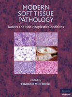 Modern Soft Tissue Pathology - 