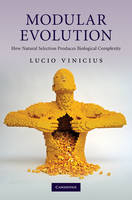 Modular Evolution -  Lucio Vinicius