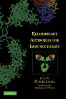 Recombinant Antibodies for Immunotherapy - 