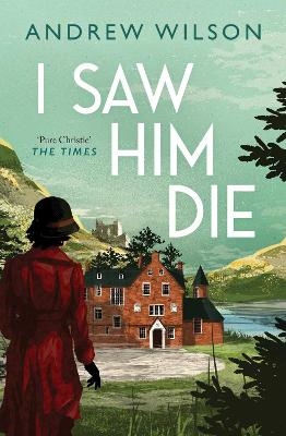 I Saw Him Die - Andrew Wilson